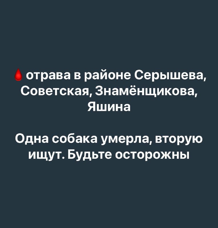 Фокси вышла из кризиса
