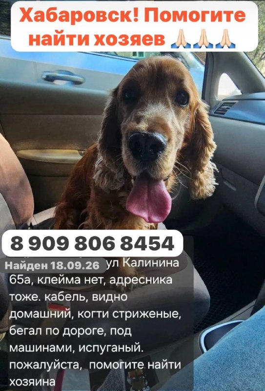 Масяне помогли