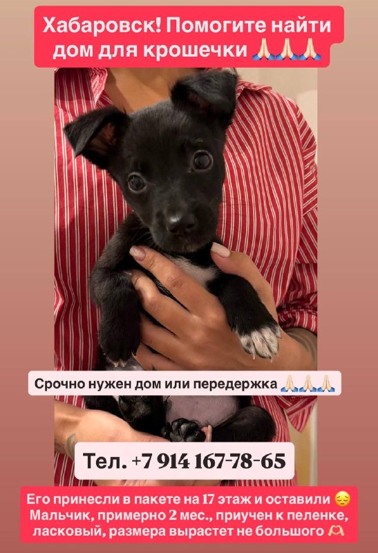 Малышу нужен человек